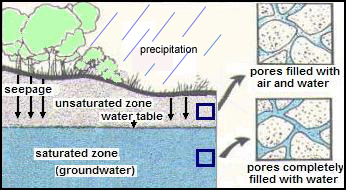 Diagram of the Vadose (unsaturated) Zone